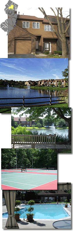 The Madison Common &nbsp;Madison NJ Townhomes For Sale Search Find Townhomes Townhouses Condos in The Madison Common &nbsp; Madison Morris County  Real Estate MLS Search Madison &nbsp; The Madison Common Condos The Madison Common Condo The Madison Common townhomes at Madison NJ The Madison Common condos Madison &nbsp;Madison Commons &nbsp; Madison Common
